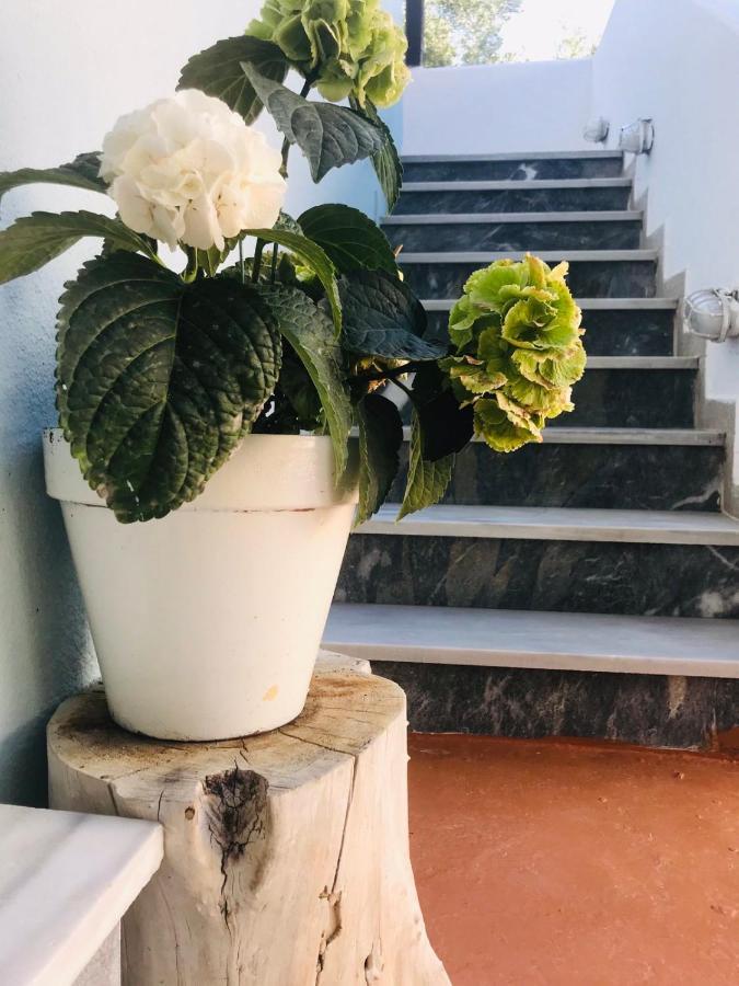 Douvas House Daire Toroni Dış mekan fotoğraf