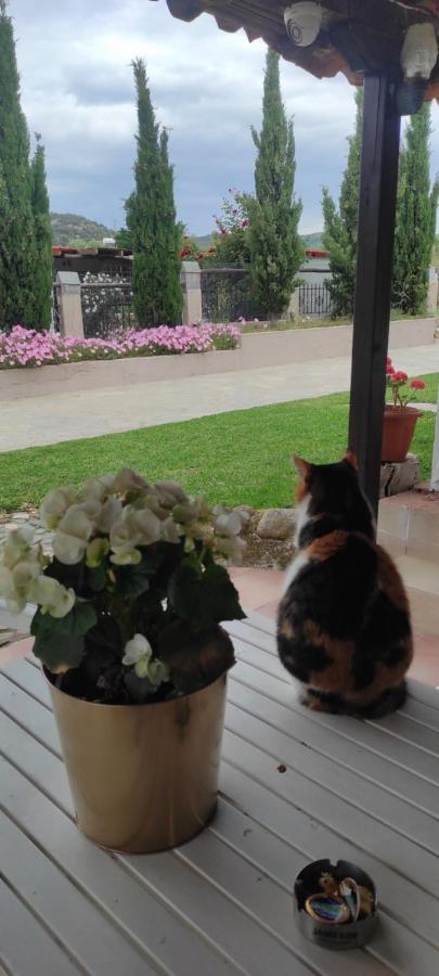 Douvas House Daire Toroni Dış mekan fotoğraf